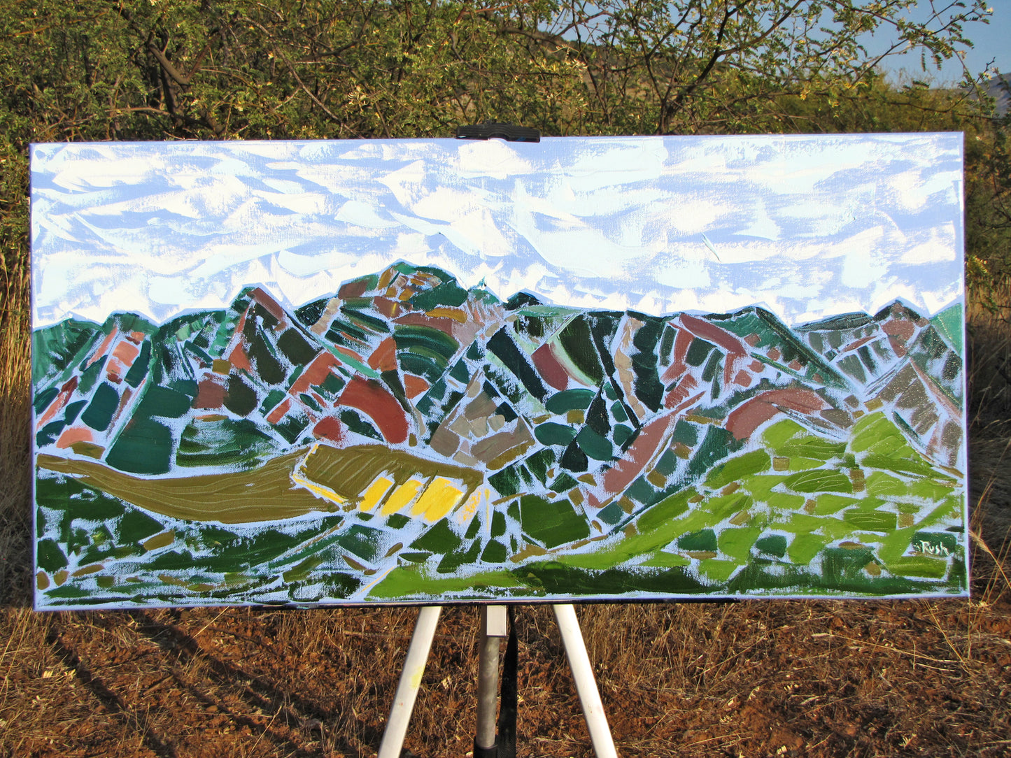 Mazatzal Mountains Mosaic - 18 x 36 x 0.625 inches - Oil on Gallery Wrapped Canvas
