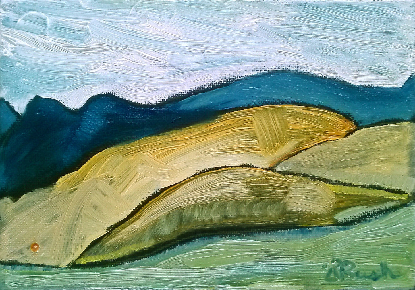 Salt Mine Sun Glow - Mary Rush Artist - Wildfeather Fine Art