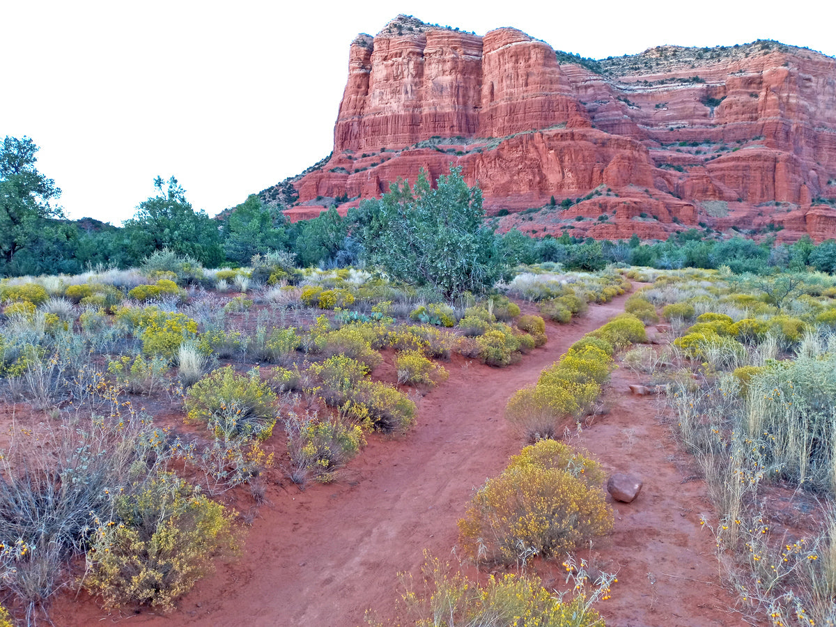 Shangri La Sedona - 11 x 14 x 0.75 - Acrylic on Gallery Wrapped Canvas