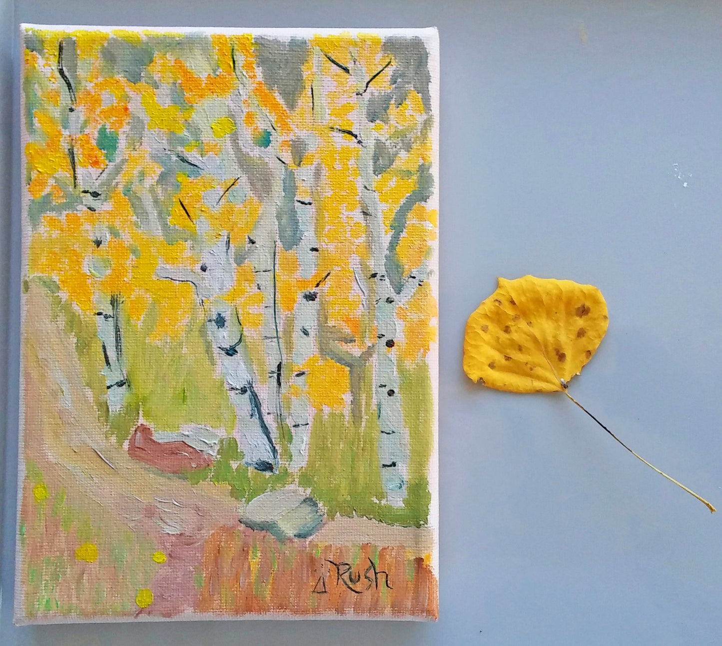Yellow Aspens in Flagstaff, Arizona - Original Painting