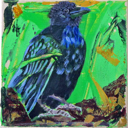 Raven (on Green) - Scruffy - 5 x 5 x 1.5 inches - Acrylic & Graphite on Canvas