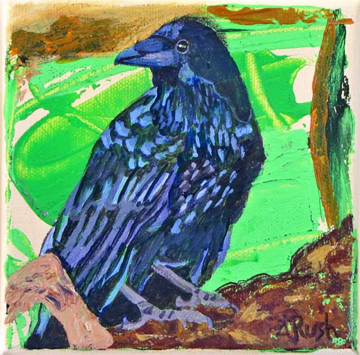 Raven - Watcher - 5 x 5 x 1.5 inches - Acrylic & Graphite on Canvas
